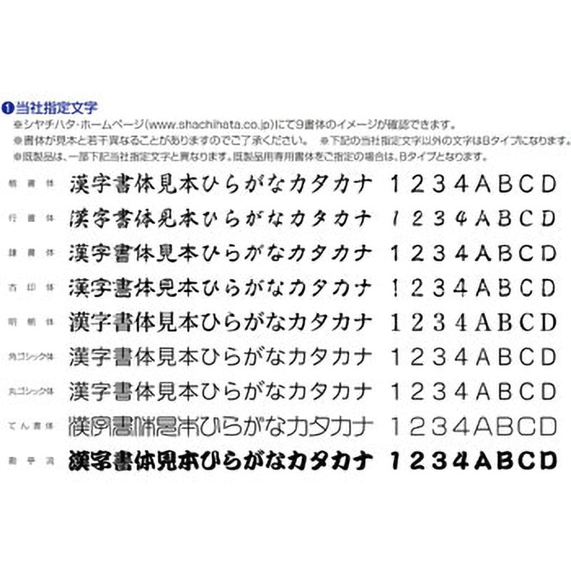 XGL-15C Aタイプ 【名入れ】データネームEX 15号 キャップ式 ハンコ