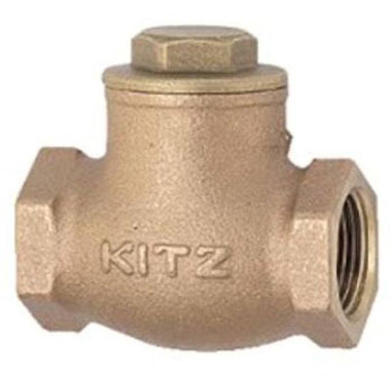 EA465A-56 スイングチャッキバルブ 青銅製 EA465Aシリーズ エスコ ねじサイズRc3/4