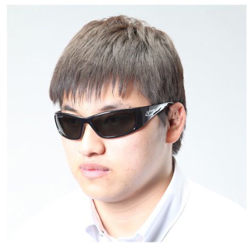 EA800AR-122 保護めがね EA800ARシリーズ エスコ スモーク/偏光レンズ