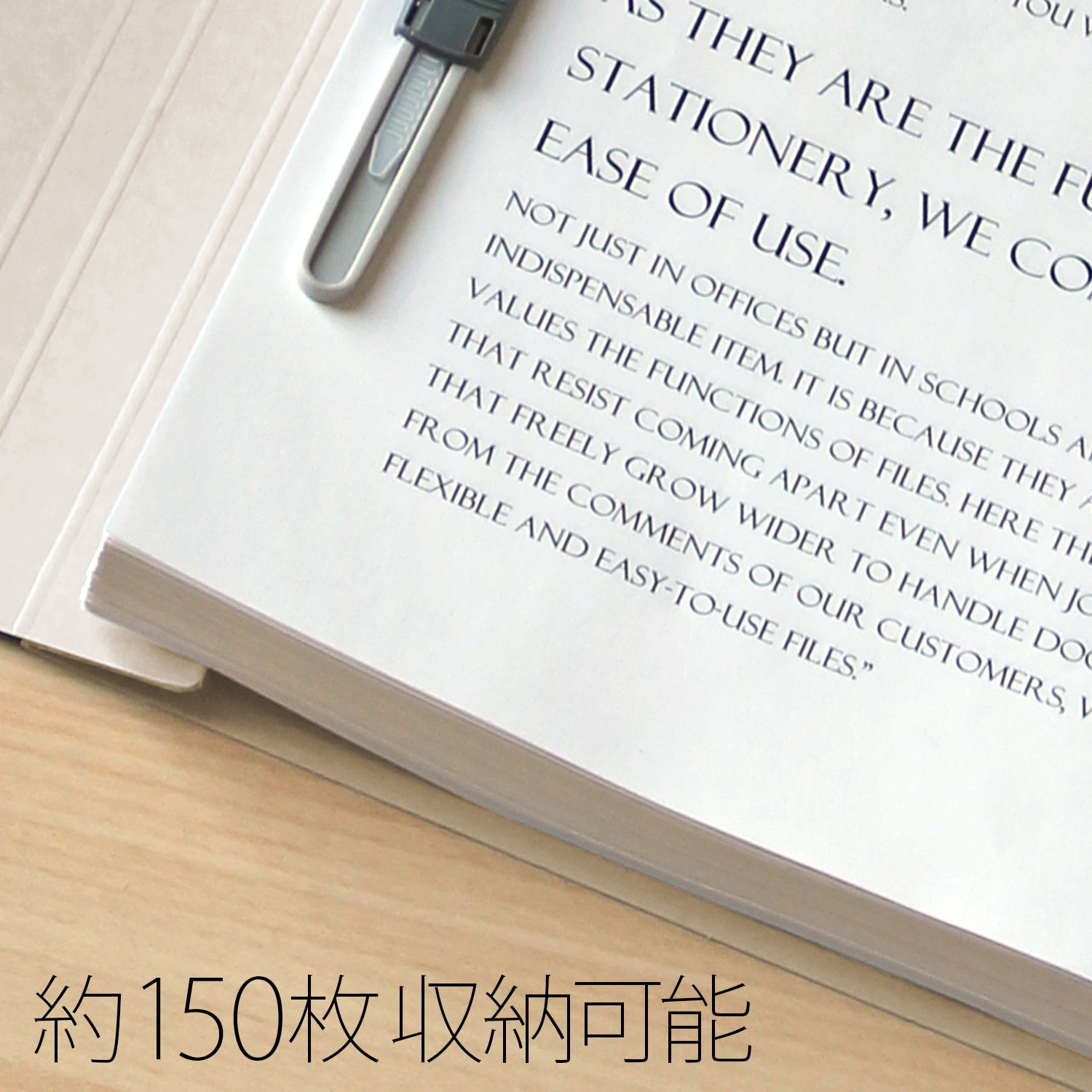 No.021E(79359) エコノミーフラットファイル PLUS(プラス)[文具] タテ