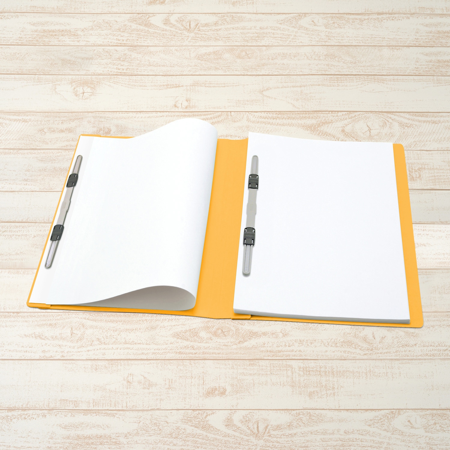 ファイル（上・下） キングジム公式ストア フェイバリッツ Zフアイル(透明) FV558T