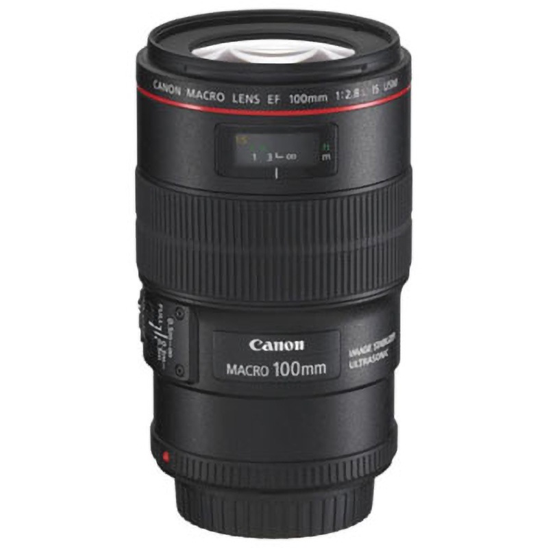 EF100mm F2.8L マクロ IS USM 交換レンズ EF100mm F2.8L マクロ IS USM Canon EFマウント