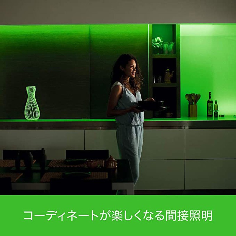 PLH38LE Philips Hue ライトリボンプラス エクステンション 1個  