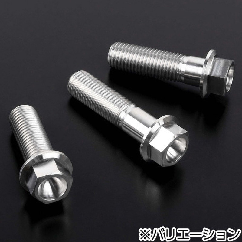 ZT03-1025 チタンフランジボルト 1本 ZETA 【通販モノタロウ】
