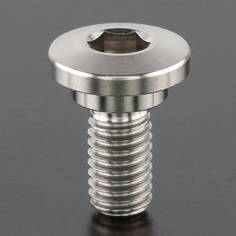 チタンブレーキディスクボルト ZETA バイク用ディスクローター