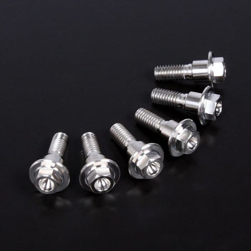 ZT31-0786 チタンBディスクボルトセット ZETA ねじサイズM6×20 1セット