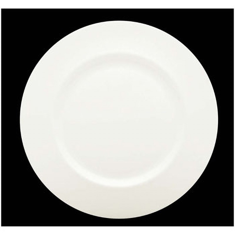 27cm ローゼンタール ジェイド リムプレート 1個 ローゼンタール 【通販モノタロウ】 5,898円