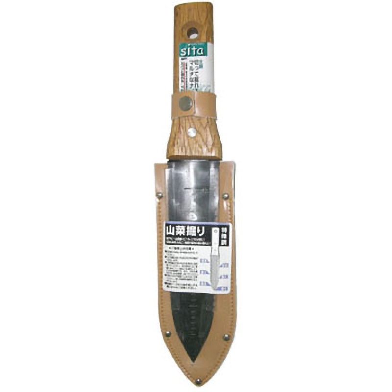 A691 山菜堀り sita(サイタ) 幅50mm A691 - 【通販モノタロウ】