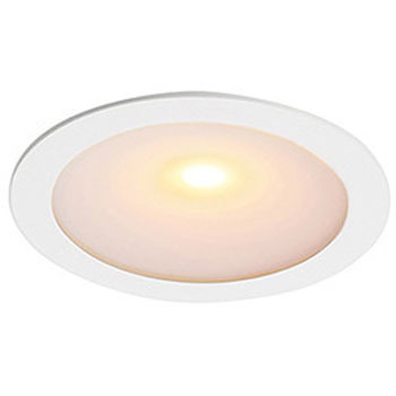 D-EX153WFH ダウンライト(100V仕様) DNライティング 埋込穴Φ60mm D