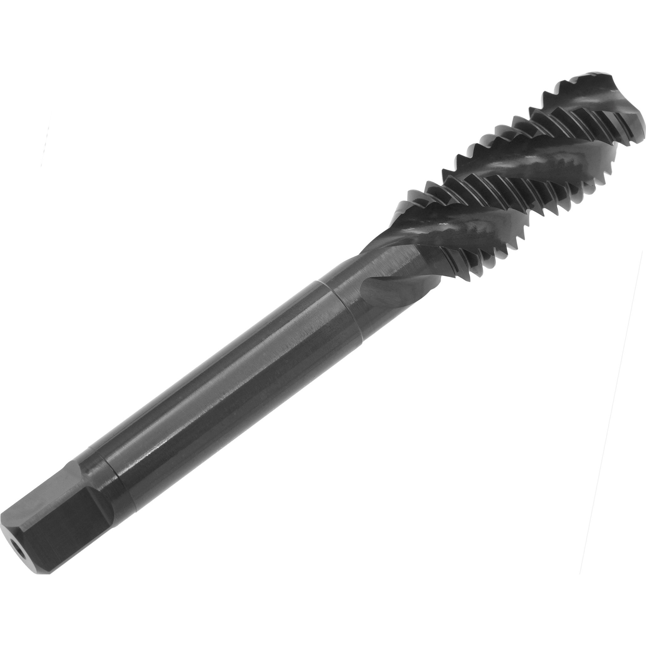 ヤマメ Maison MIHARA YASUHIRO ONLINE STORE（メゾンミハラヤスヒロ