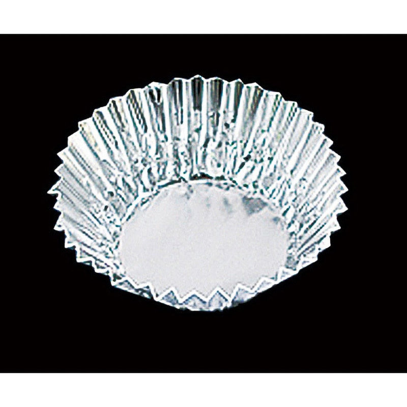 407000 フジアルミケース 尚美堂 両ツヤタイプ