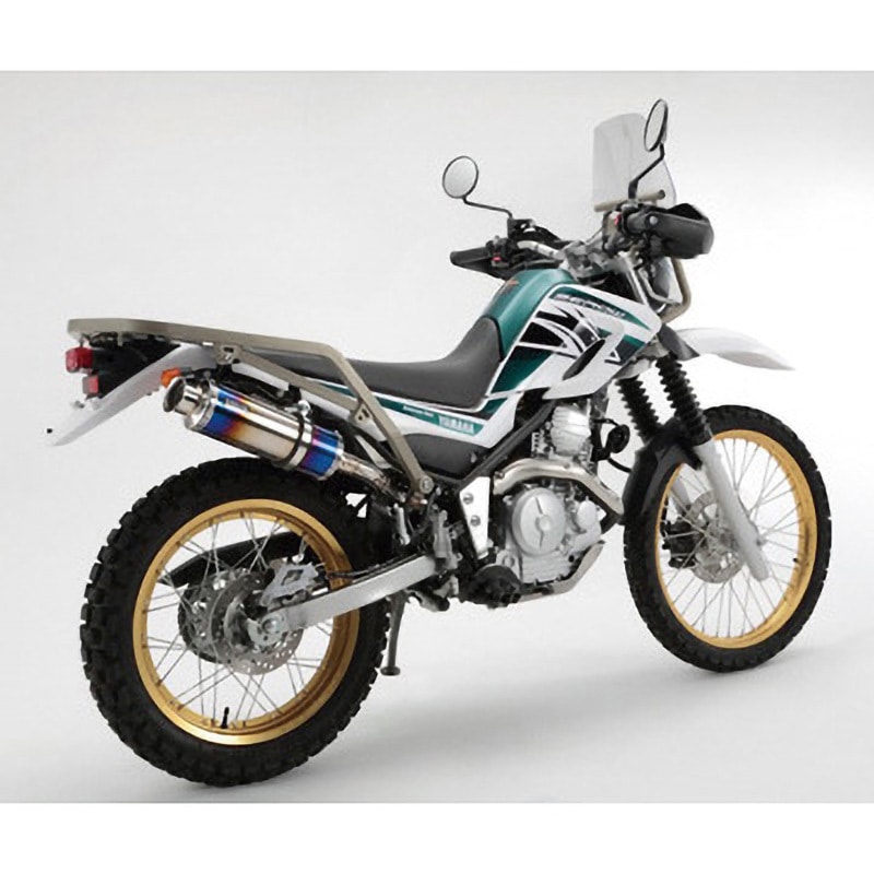 G224-06-004 SS300 スリップオン ヒートチタンサイレンサー SP