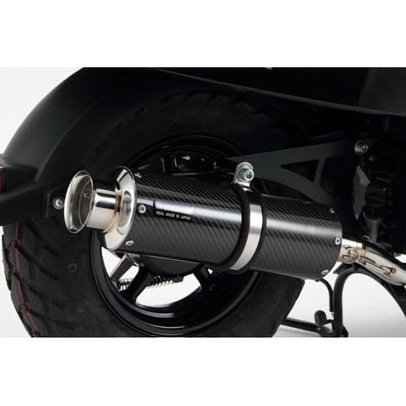 G250-08-000 SS300 カーボンサイレンサー SP 政府認証 1個 BEAMS