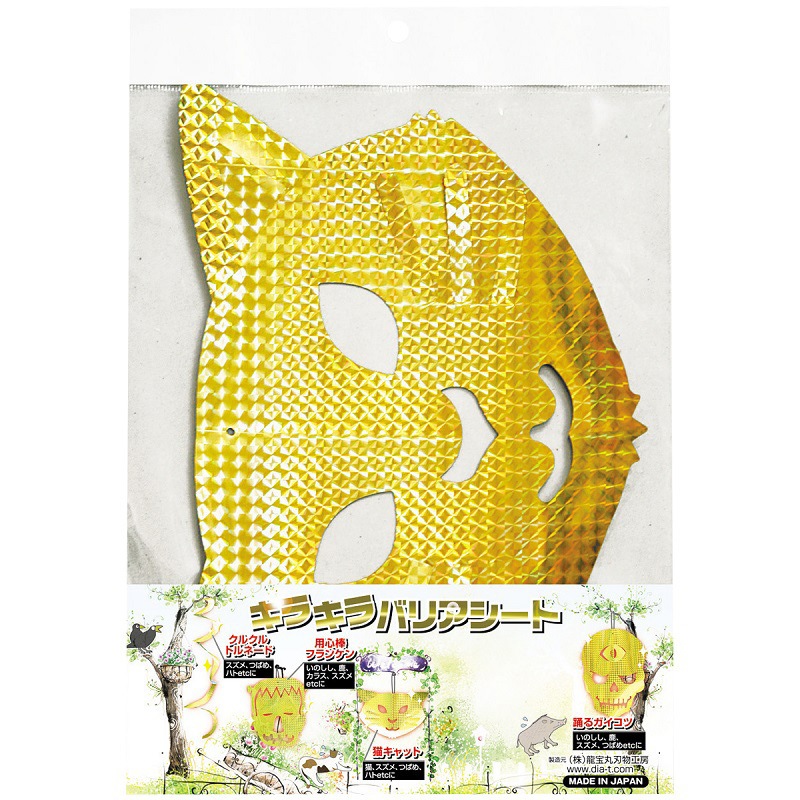 ※こんねこん12 ジャンク品　ゴシキドリの剥製 こんねこん12様専用 ジャンク品 ゴシキドリの剥製