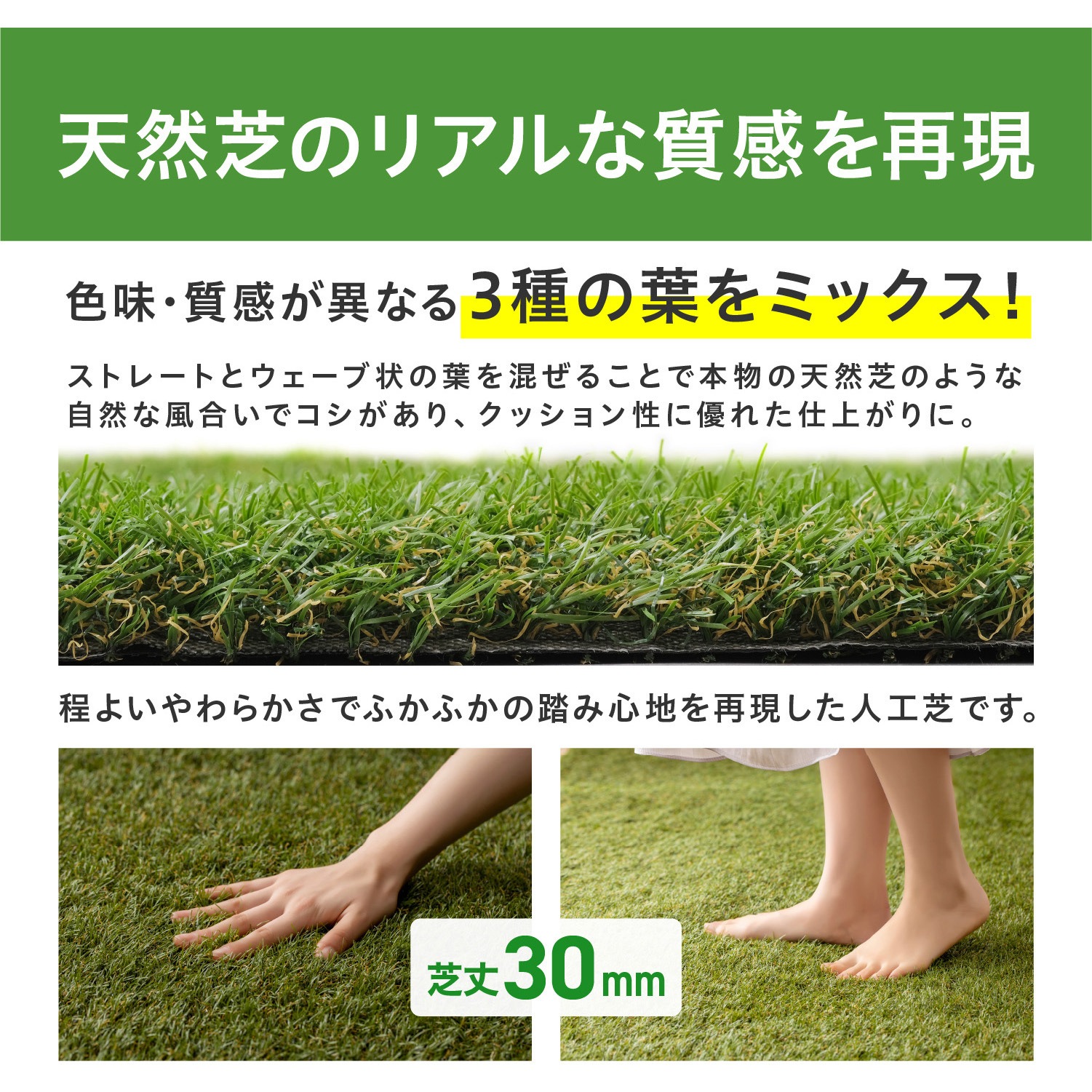 リアリーターフ 人工芝 ロール状 （ポイントを押さえて人工芝を 