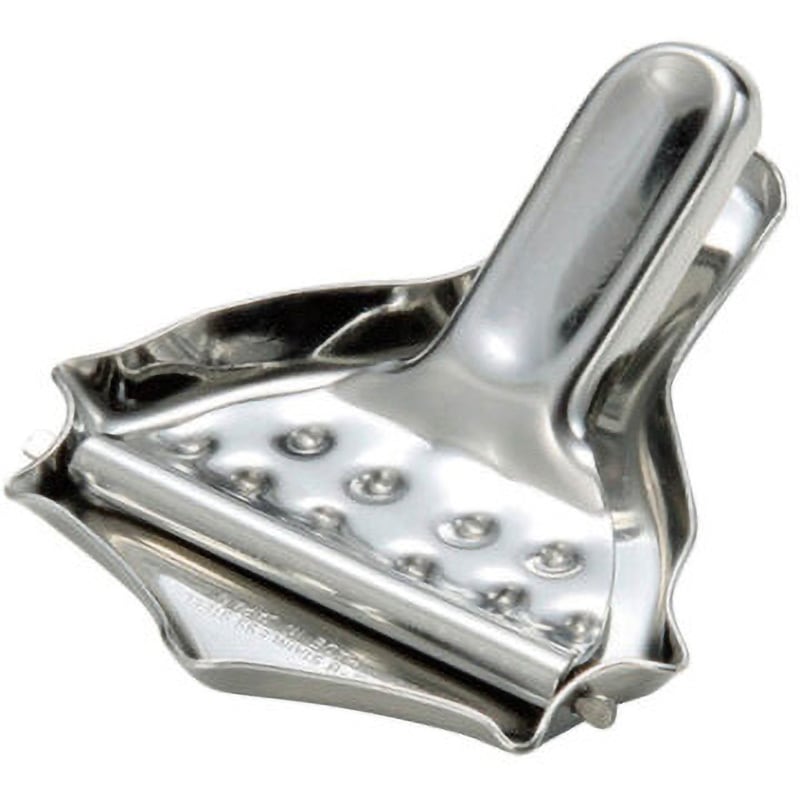 レモンページ 柑橘 レモン 種なしレモン 苗 おすすめ 苗木部 By 花ひろばオンライン