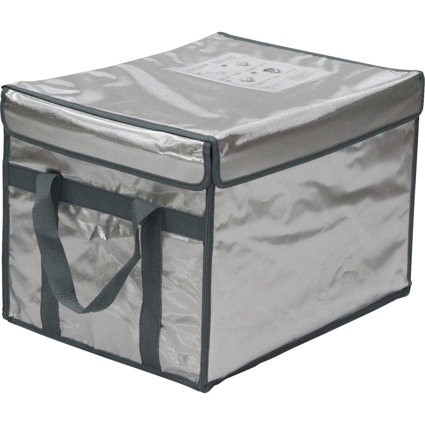 シルバーイグアノドン約6cm 箱付き