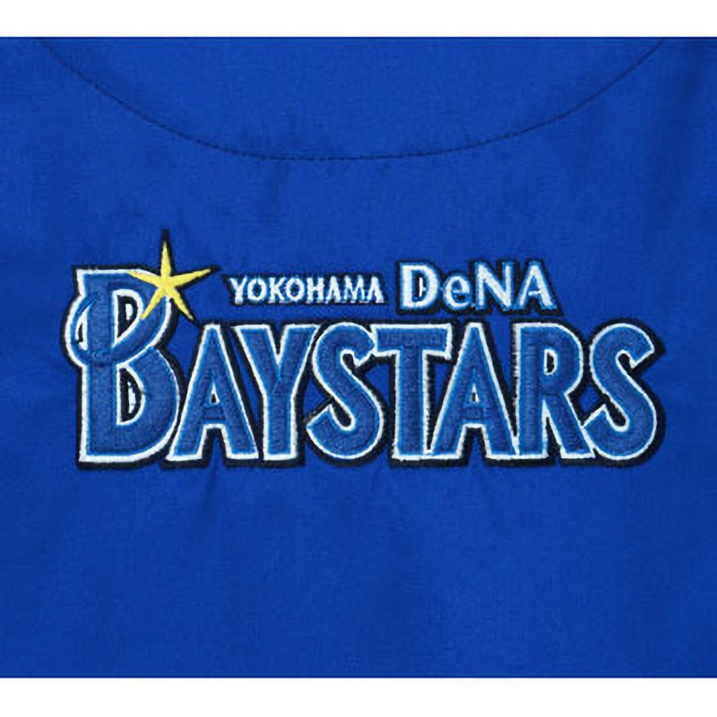 YB-2006 ベイスターズスクラブ D-PHASE(ディーフェイズ) 横浜