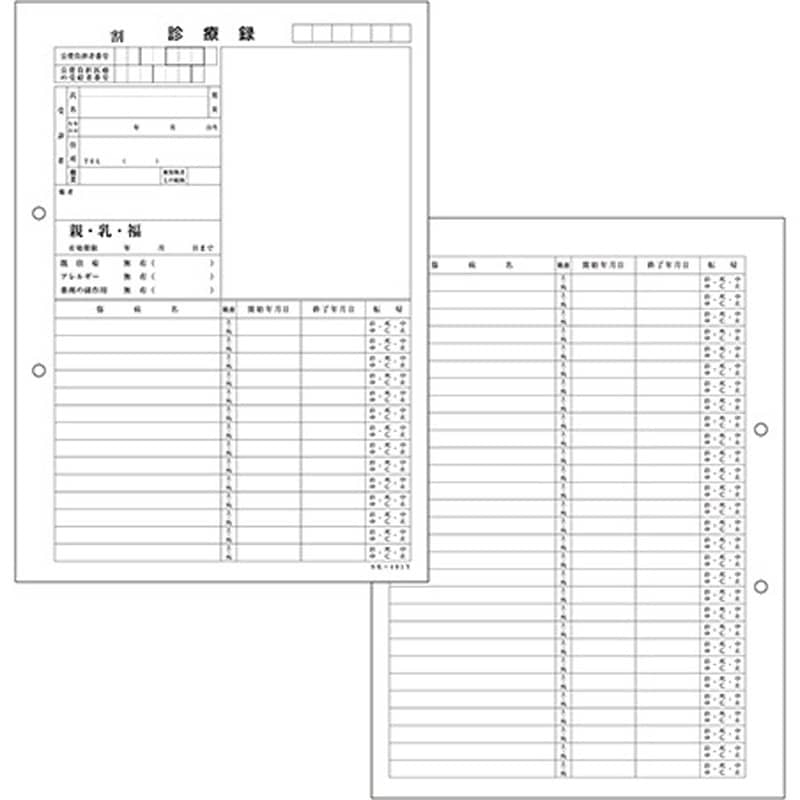 41912-001 カルテ用紙 1号(診療録) 保険証添付欄あり・2穴あきタイプ