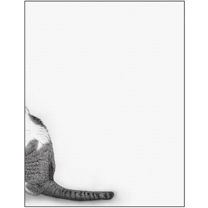 073790 キャンバス Sketch P・O・Pプロダクツ 寸法606×500mm 1枚
