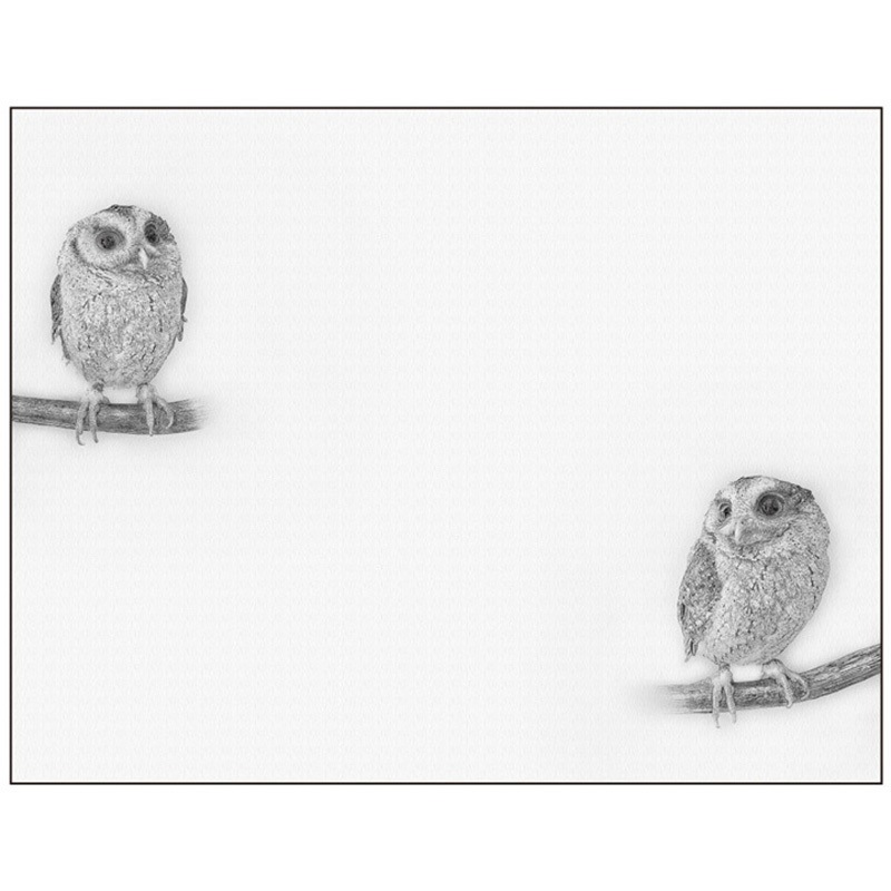 073794 キャンバス Sketch P・O・Pプロダクツ 寸法606×500mm 1枚