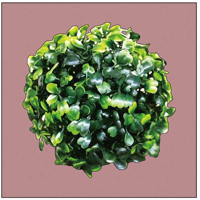 073796 キャンバス Plant P・O・Pプロダクツ 寸法300×300mm 1枚 6,798円