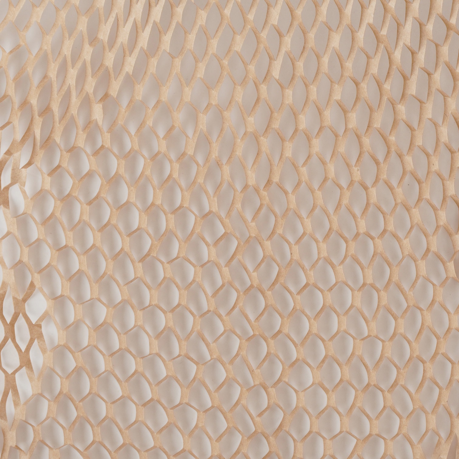 SUPER BEAVER クッション2色セット SUPER BEAVER クッション ブラック / ベージュ 2個セット