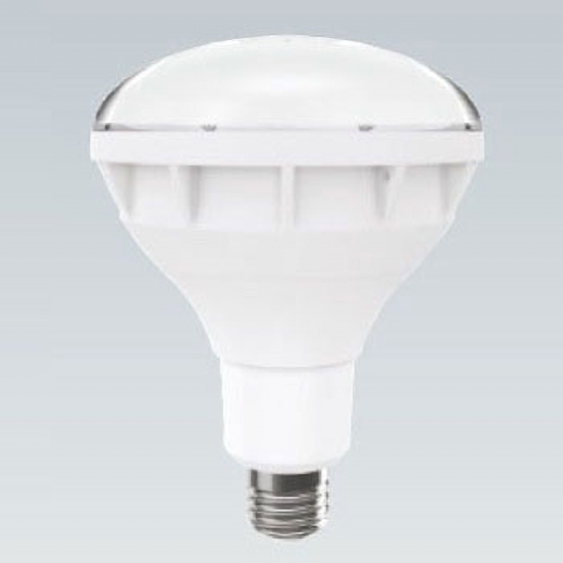 蛍光灯・電球 ENDO RAD-588L RAD-588L バラストレス水銀レフ形LEDランプ 1個 遠藤照明(ENDO) 【通販