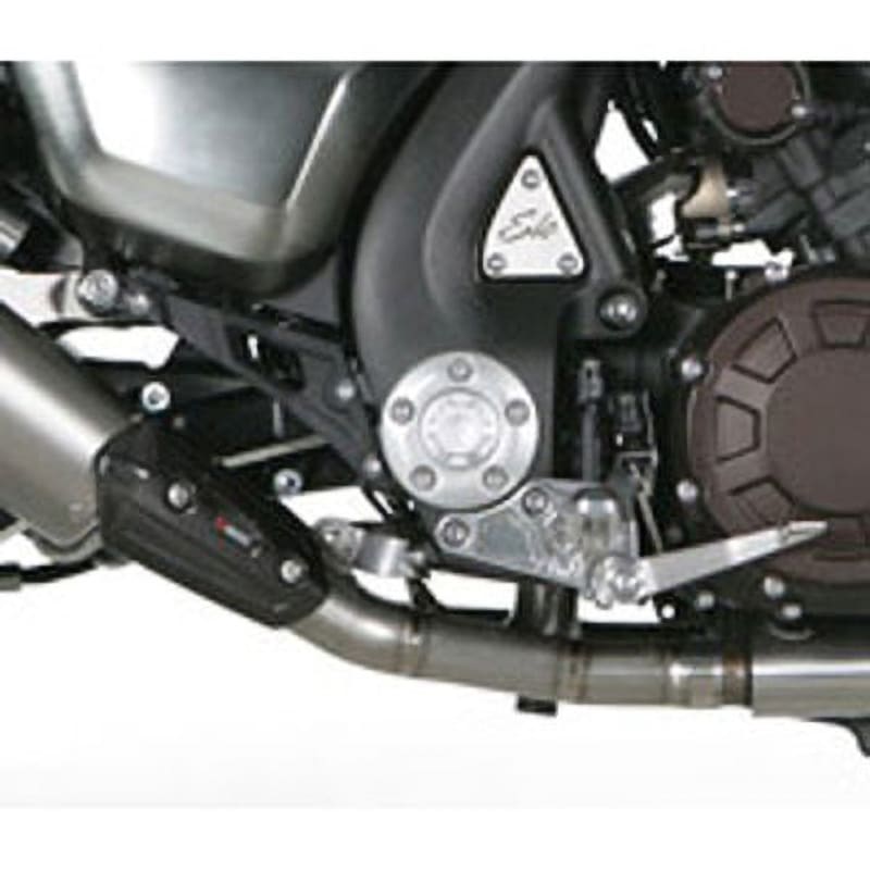 C-Y17SO1T/1 オプション コレクター 1個 AKRAPOVIC (アクラポビッチ