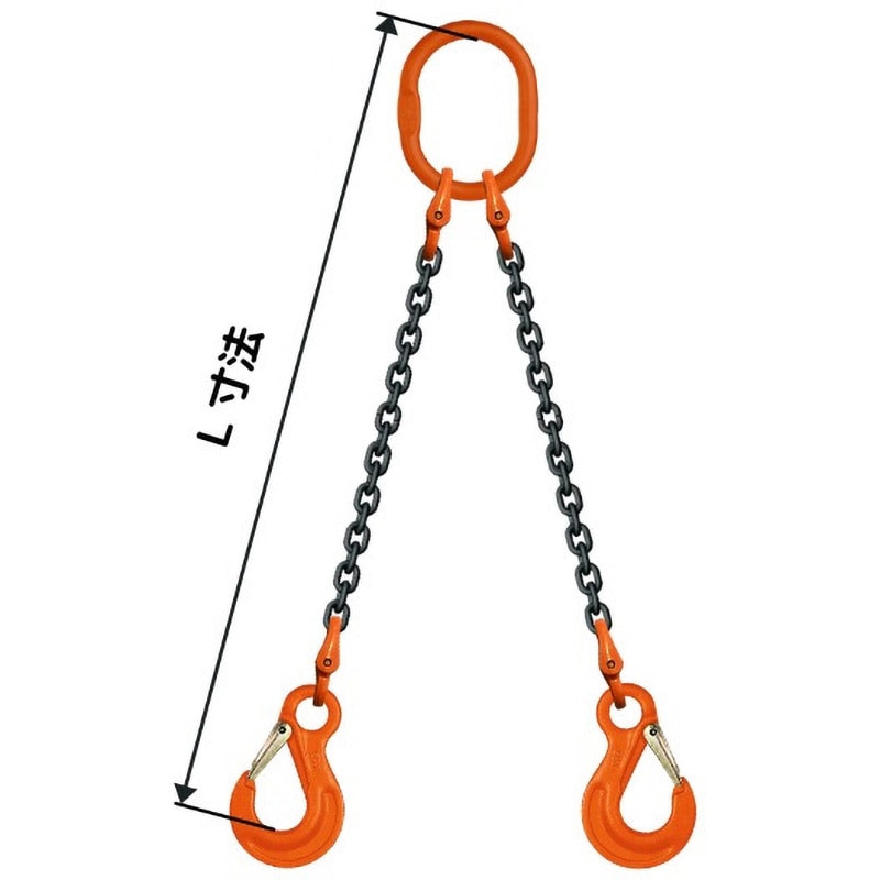 チェーン、イーグルフック　２点 WE1 6×1M スリングチェーン ダブル(アイタイプ) pewag 荷重1.8t