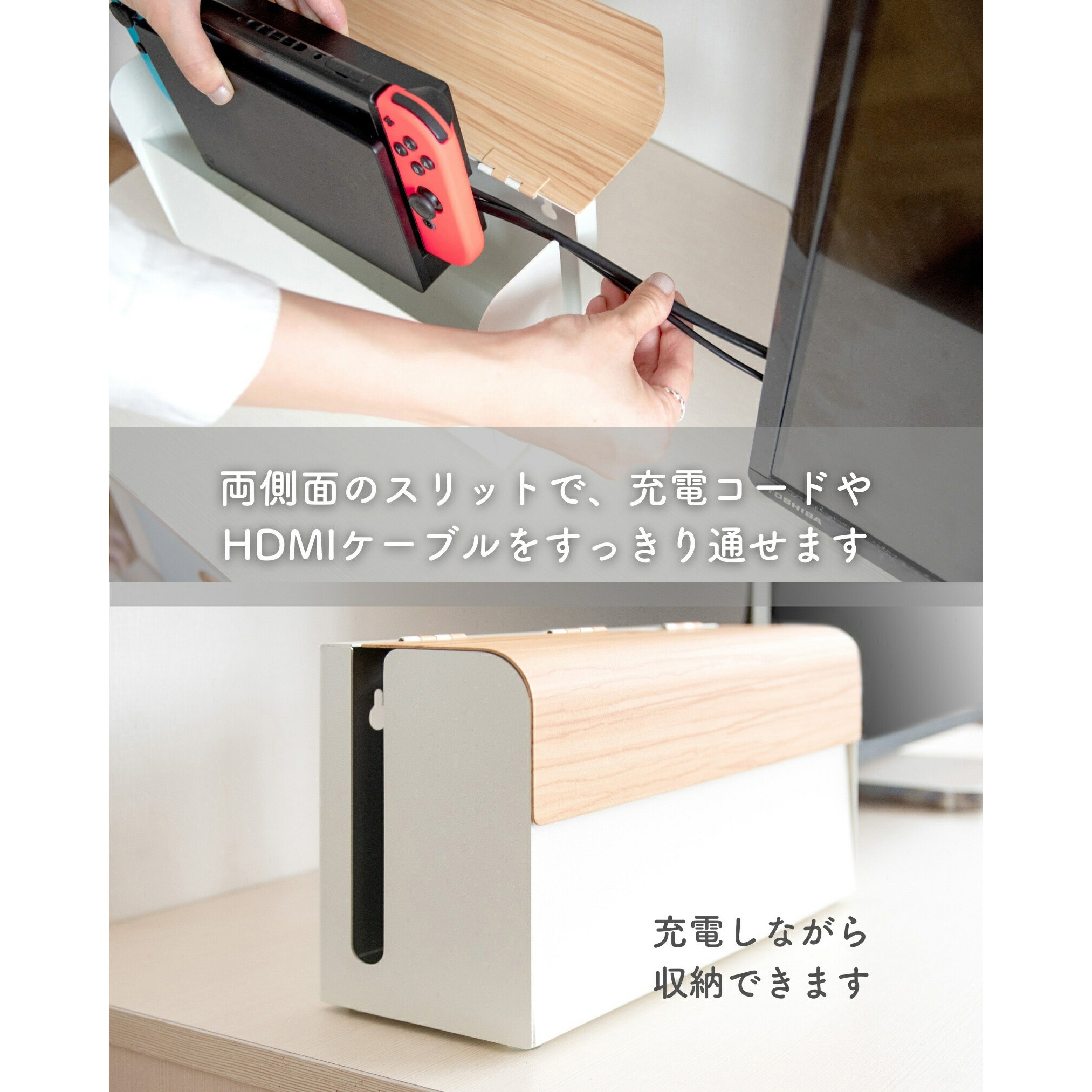 GC-2500M(MLK) Nintendo Switch用 収納ケース ミヤタケ(宮武製作所