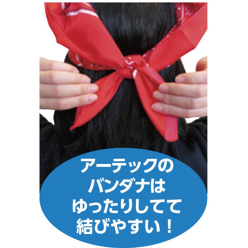 18169 バンダナ 10枚組 アーテック[学校教材・教育玩具] 青色 寸法550