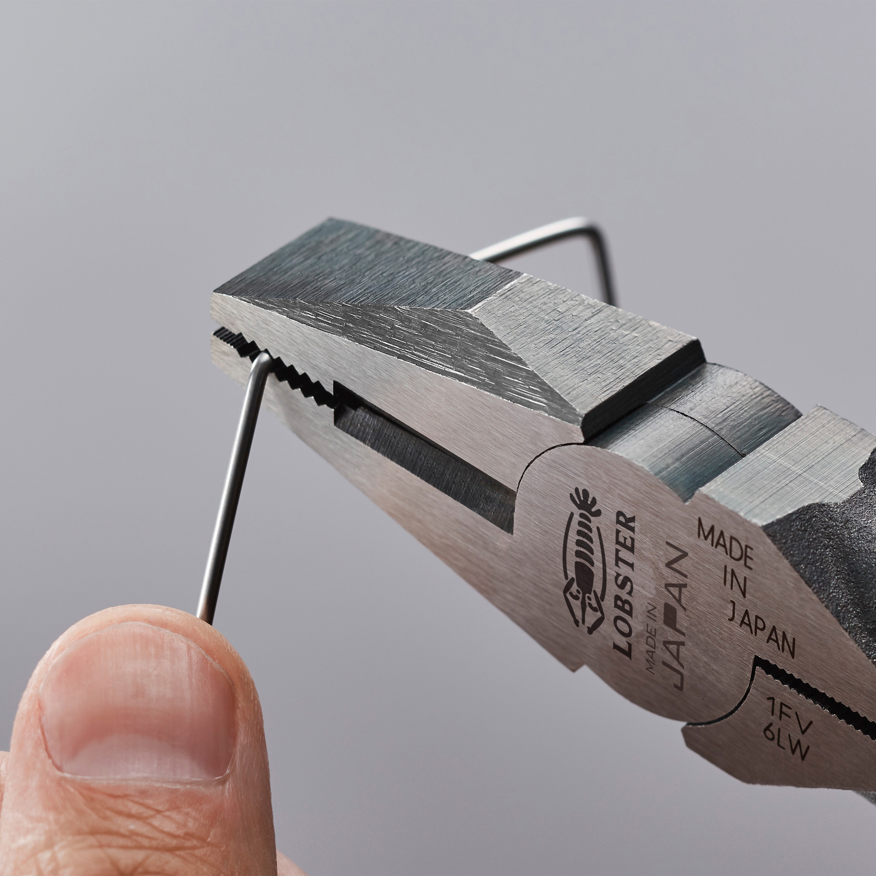 NUTROONE 本体　※別出品のベンチ購入必須 ベンチプレス | NutroOne