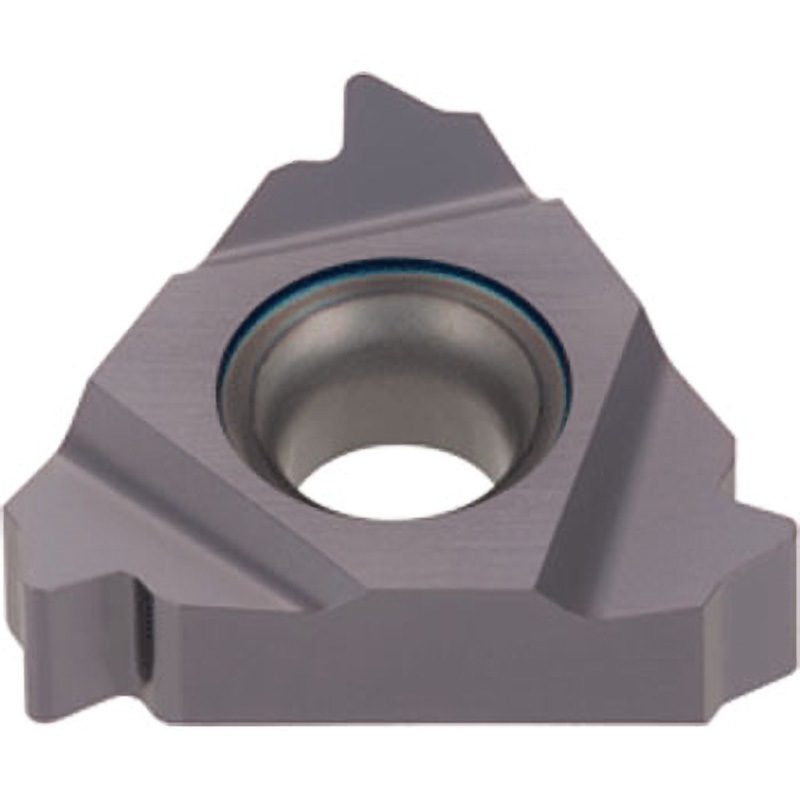 22IR8RAPI-2T AH725 チップ IR/L-RAPI タンガロイ AH725製 コーナーR0.43mm 1セット(5個)