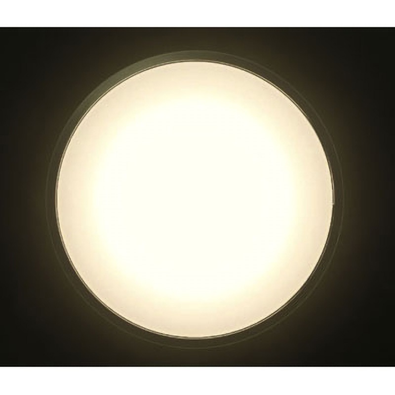 CL12DL-5.1CF LEDシーリングライト クリアフレーム 1個 アイリス