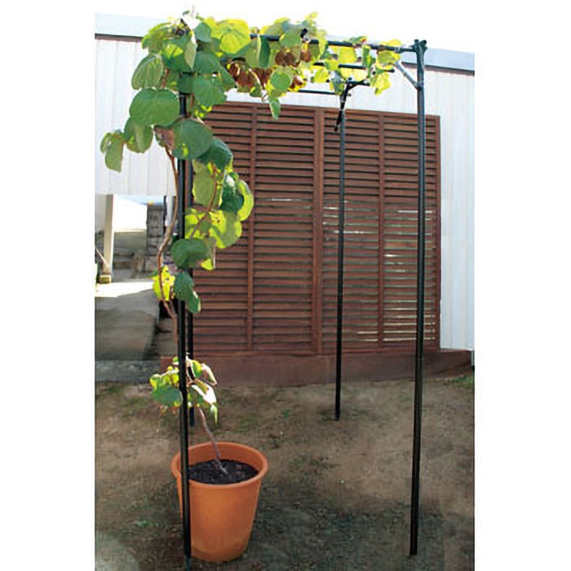 KT-S くだもの棚セット 1セット DAIM 【通販モノタロウ】