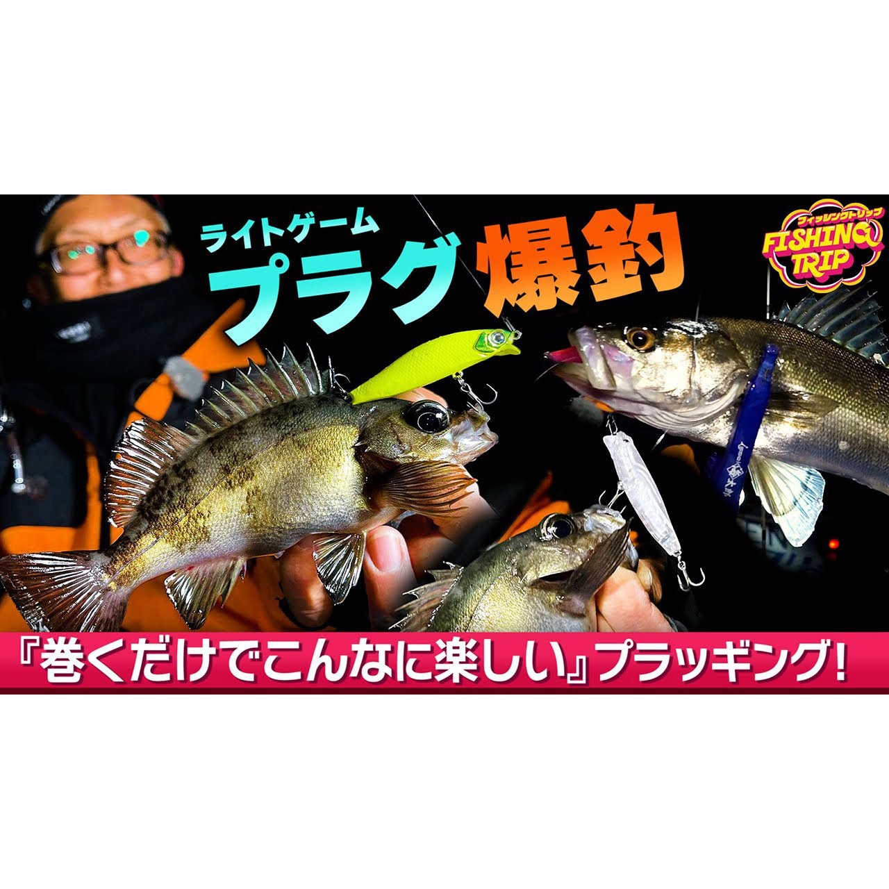 006 キビナゴ 海太郎 アメミノー 55SR-SF 一誠(イッセイ) 自重3.8g