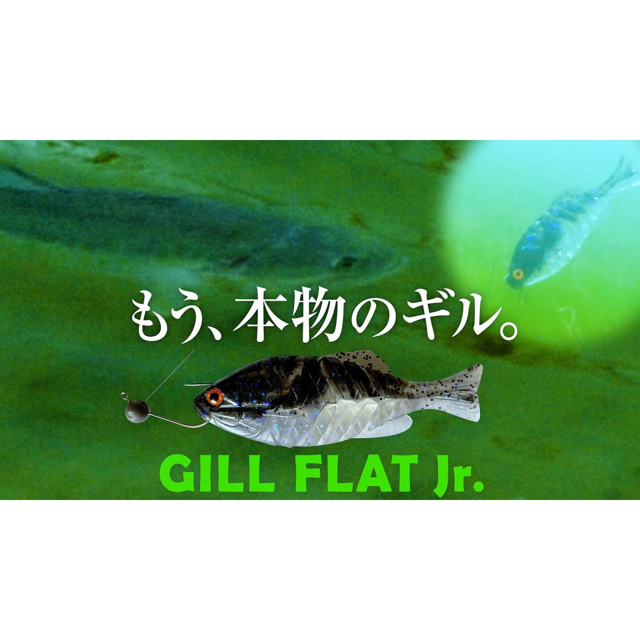 41 稚ギル ギルフラットJr. 一誠(イッセイ) 自重8g 4個入 #41 稚ギル色