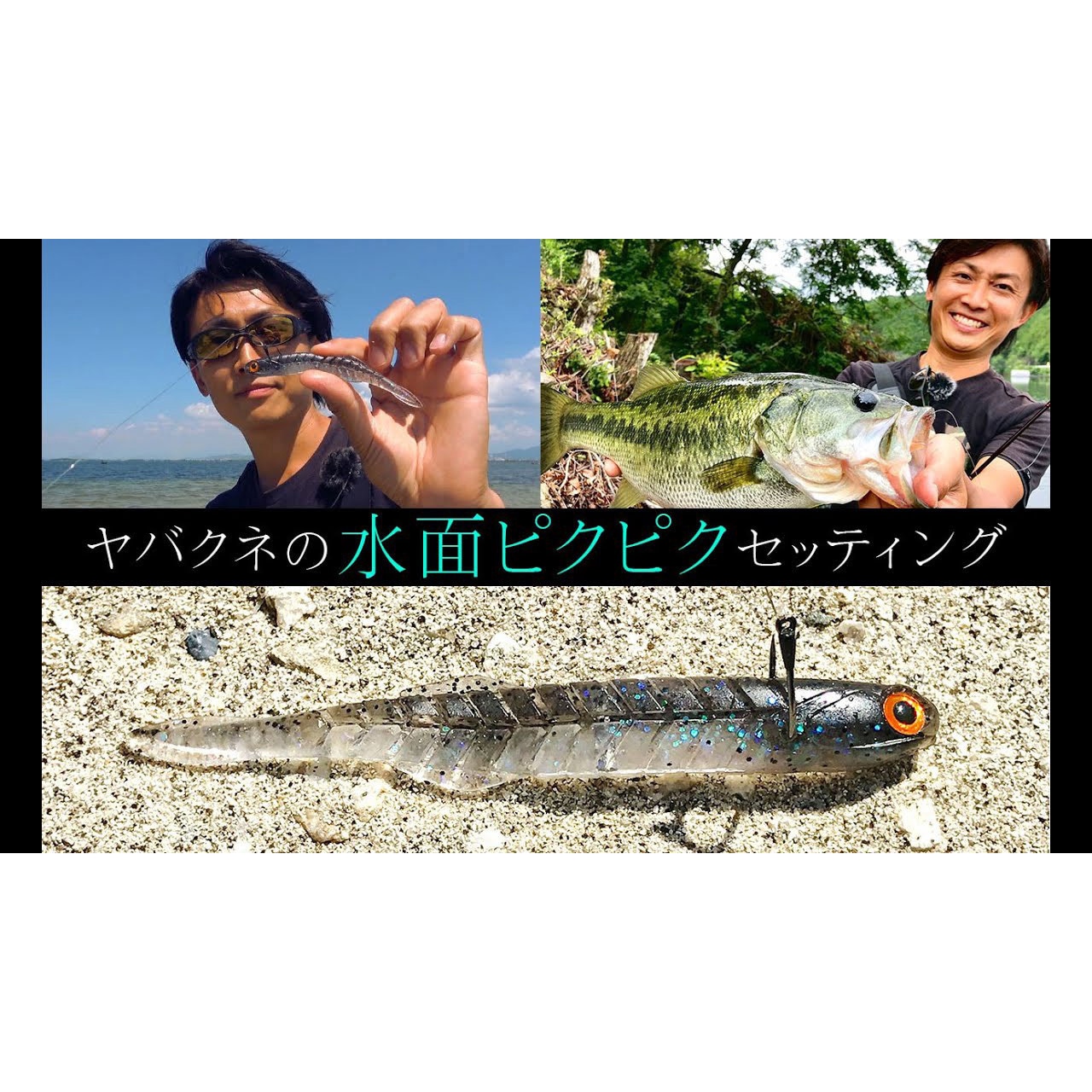 ハチの標本 黒と黄色 約15cm ハチの標本 黒と黄色 約15cm ハチの標本 黒と黄色 約15cm