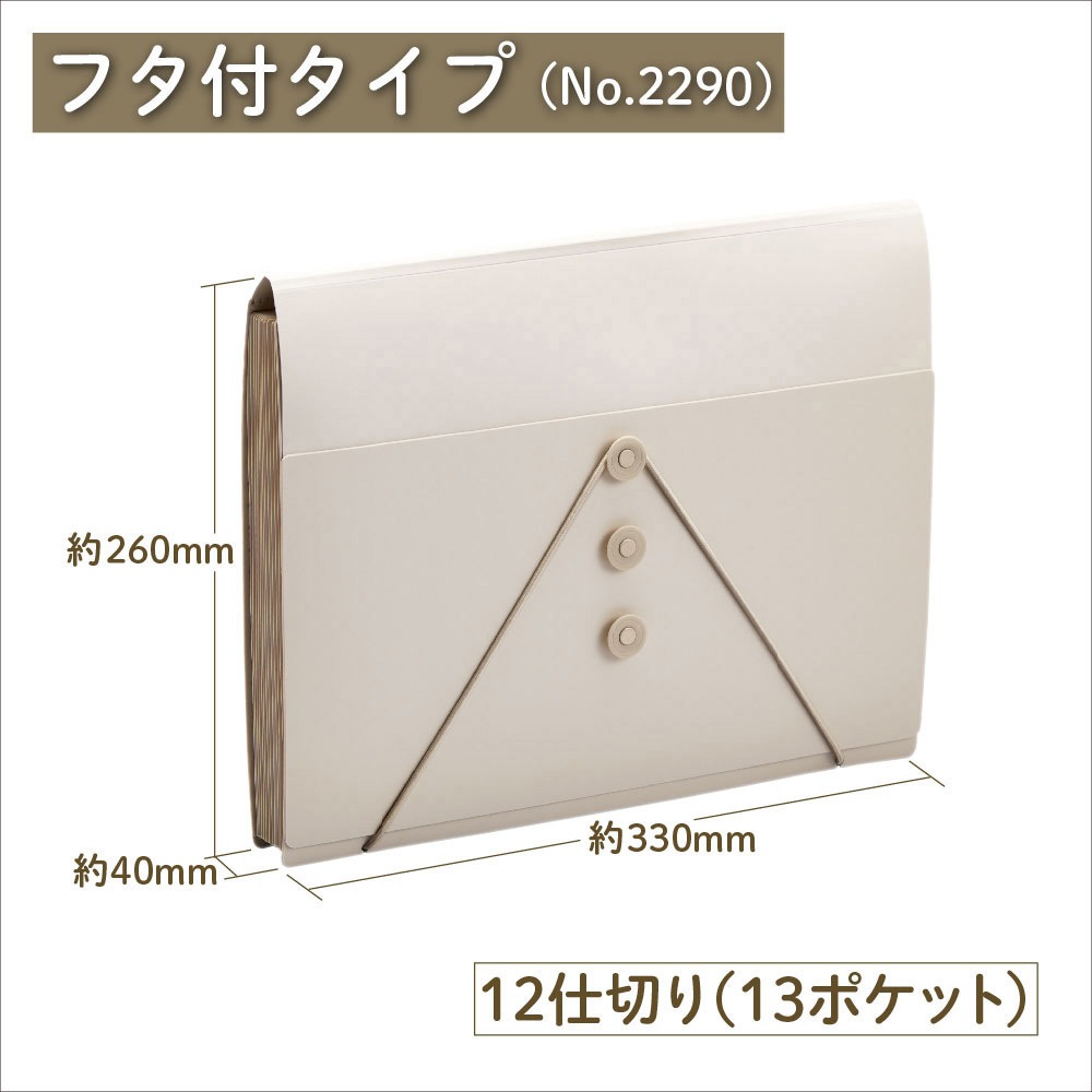2290-W サクッと整理!ドキュメントファイル(フタ付タイプ) キングジム