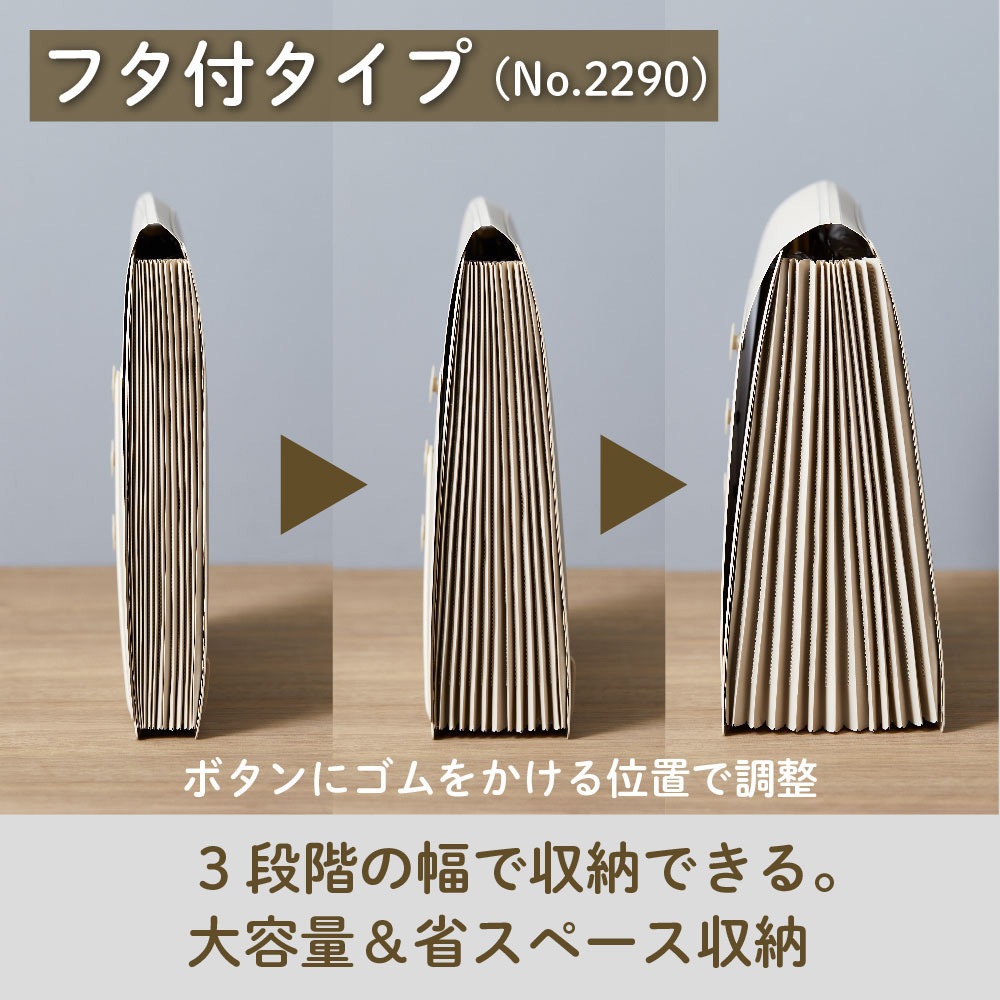 2290-BK サクッと整理!ドキュメントファイル(フタ付タイプ) キングジム