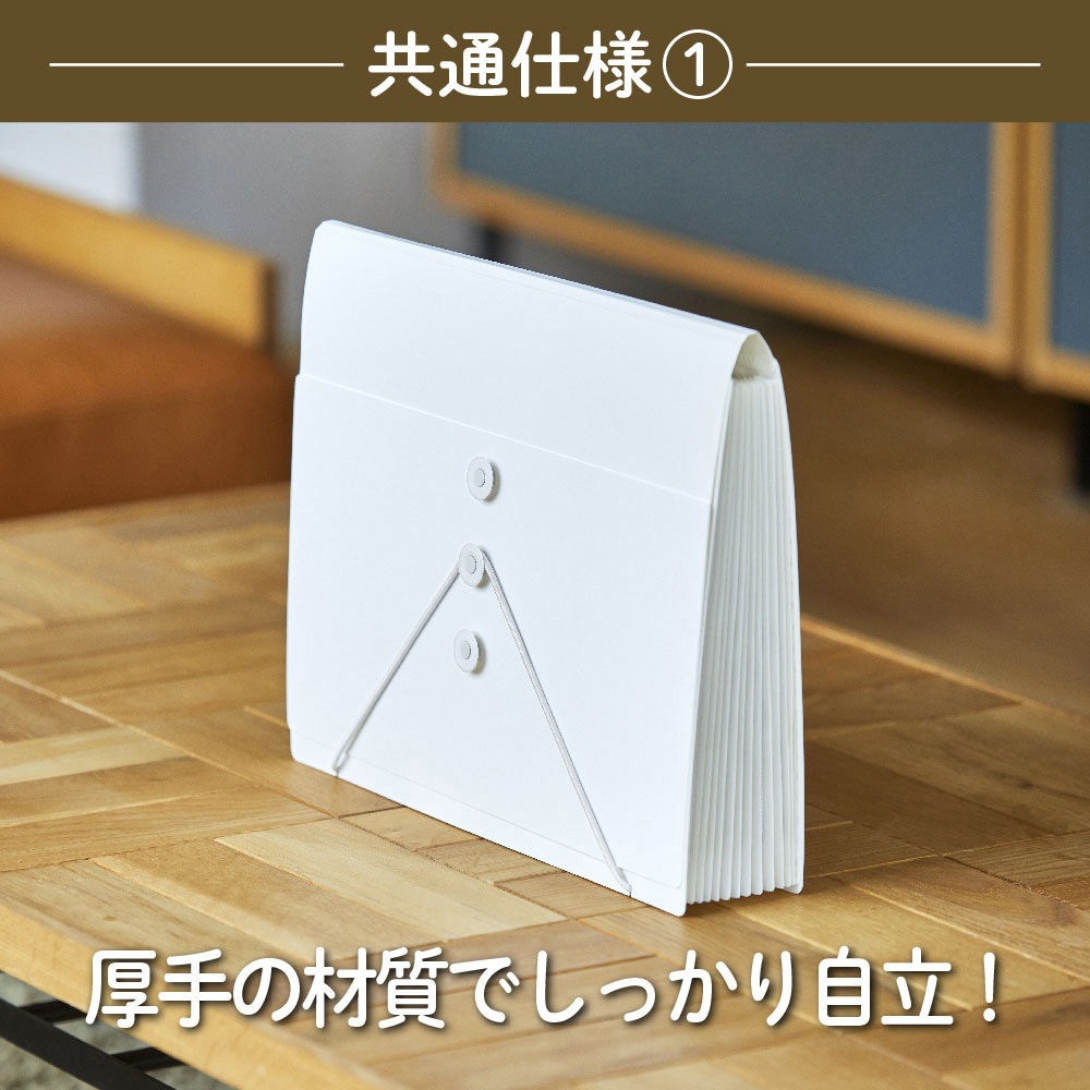 2291-BK サクッと整理!ドキュメントファイル(オープンタイプ