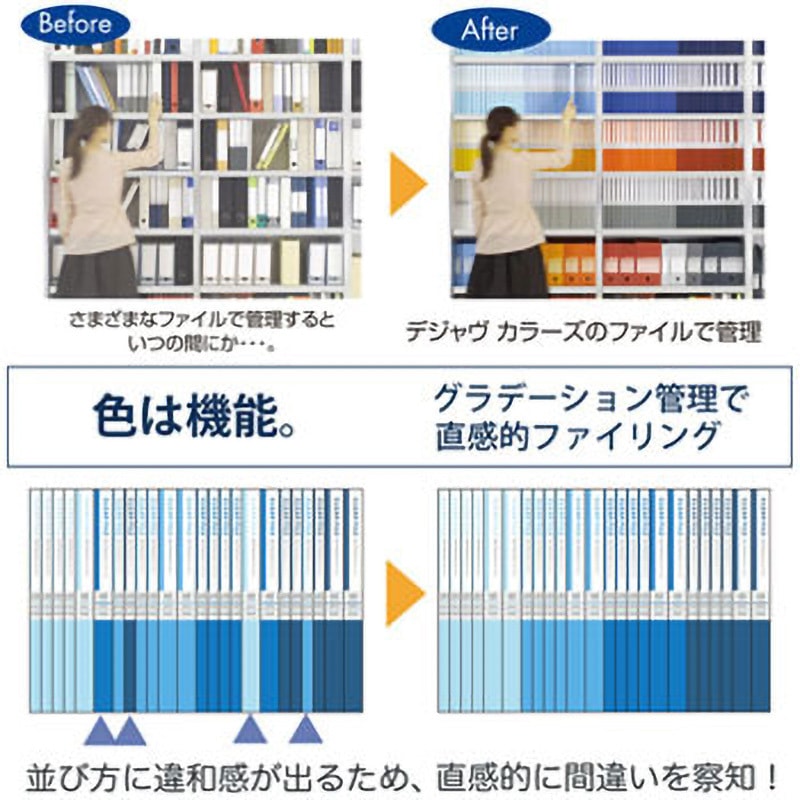 FL-102IX(89427) デジャヴカラーズ PP製インデックスシート PLUS