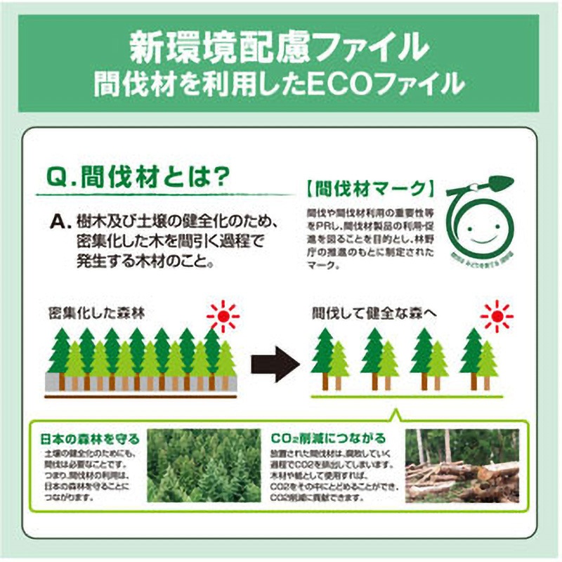 FL-021SK(86949) 間伐材 背幅伸縮ファイル セノバス PLUS(プラス)[文具