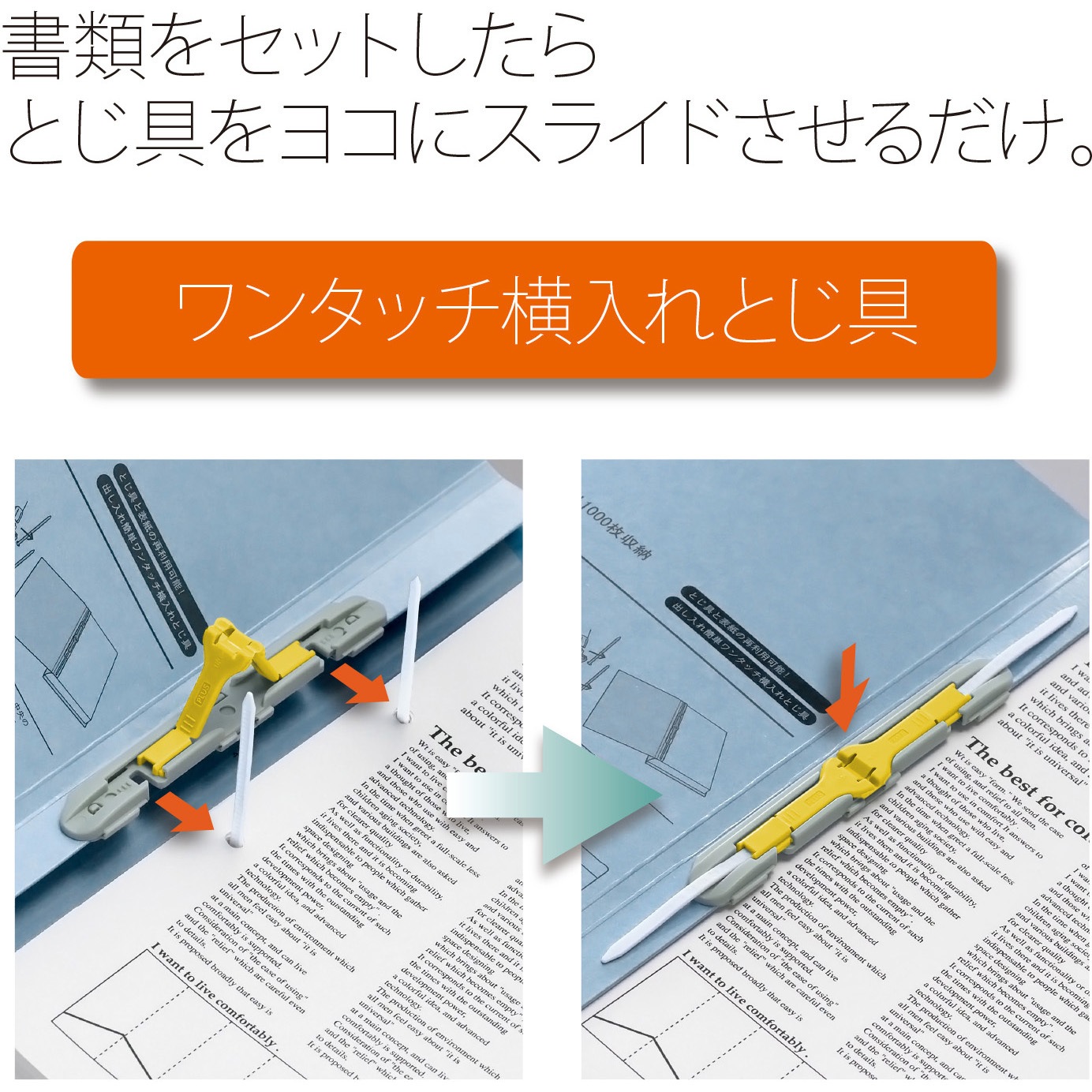 日本の図像 4冊セット 71BHPsPo3NL._UF894,1000_QL80_.jpg