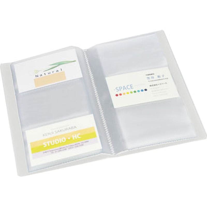 FL-301NS(82435) シンプルカードホルダー ハンディ 1冊 PLUS(プラス