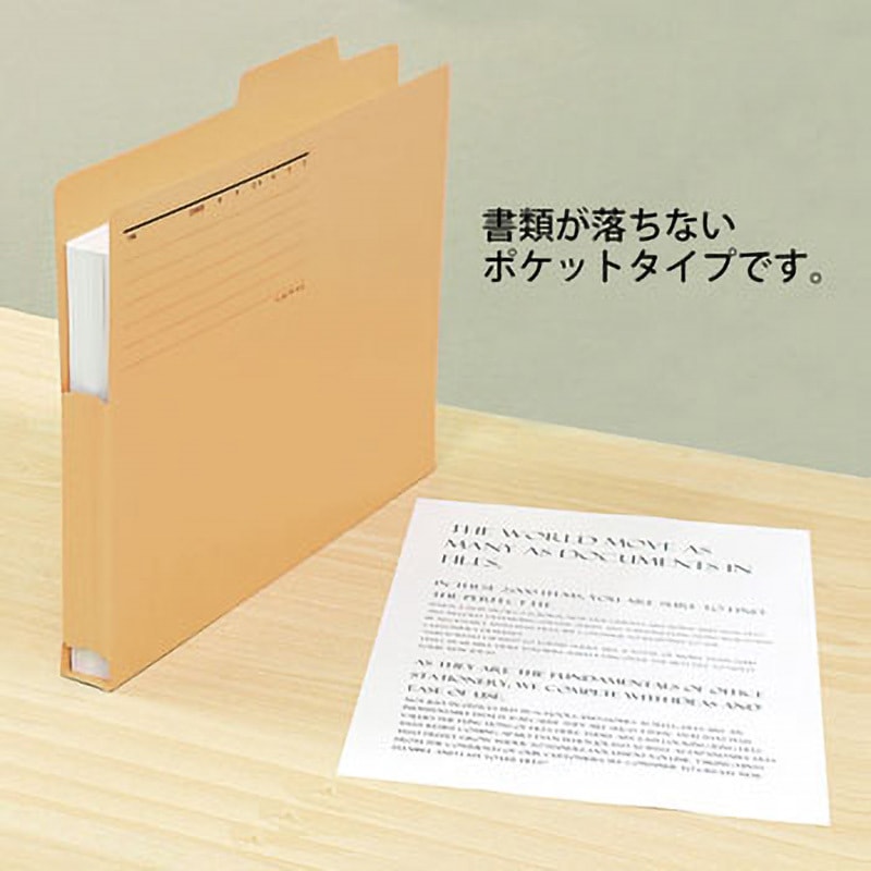 (業務用300セット) プラス 持出しフォルダー FL-001PF A4E ブルー(代引不可) 業務用300セット) プラス 持出しフォルダー FL-001PF A4E ブルー 業務