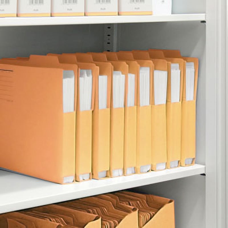 (業務用50セット) プラス 間伐材個別フォルダ FL-061KIFブルー10枚送料込み プラス 間伐材 個別フォルダー A4ブルー FL-061KIF 1セット