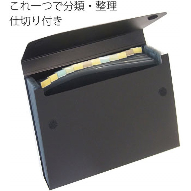 FL-122DE(92126) ドキュメントファイル PLUS(プラス)[文具] 面