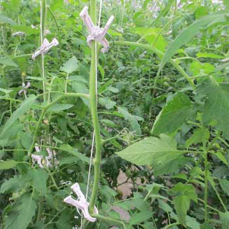 【蘭さま専用】くきたっちアルファ細紐用 KA-P200② くきたっちアルファシリーズ ～紐誘引クリップ～ | 商品紹介